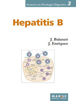 cover image of Hepatitis B
